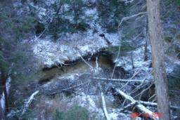 DEER CAMP 2007 048.jpg